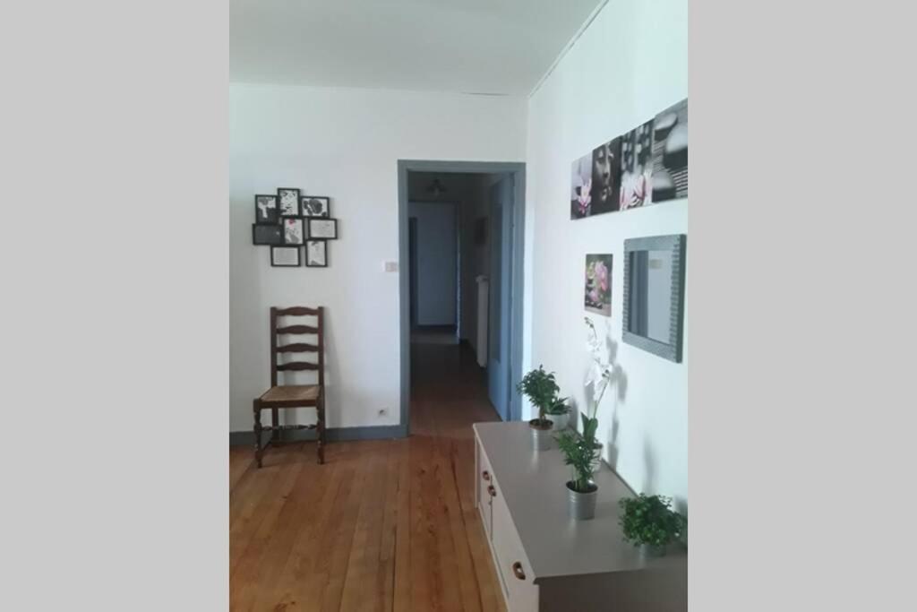 Appartement Chaleureux De 82M2 Proche De Vulcania Pontaumur Eksteriør billede