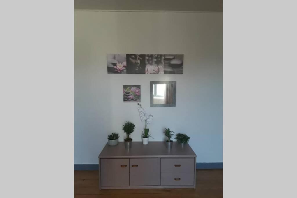 Appartement Chaleureux De 82M2 Proche De Vulcania Pontaumur Eksteriør billede