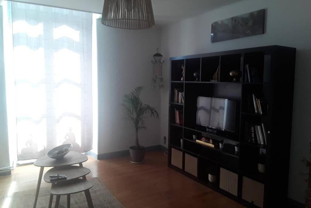 Appartement Chaleureux De 82M2 Proche De Vulcania Pontaumur Eksteriør billede