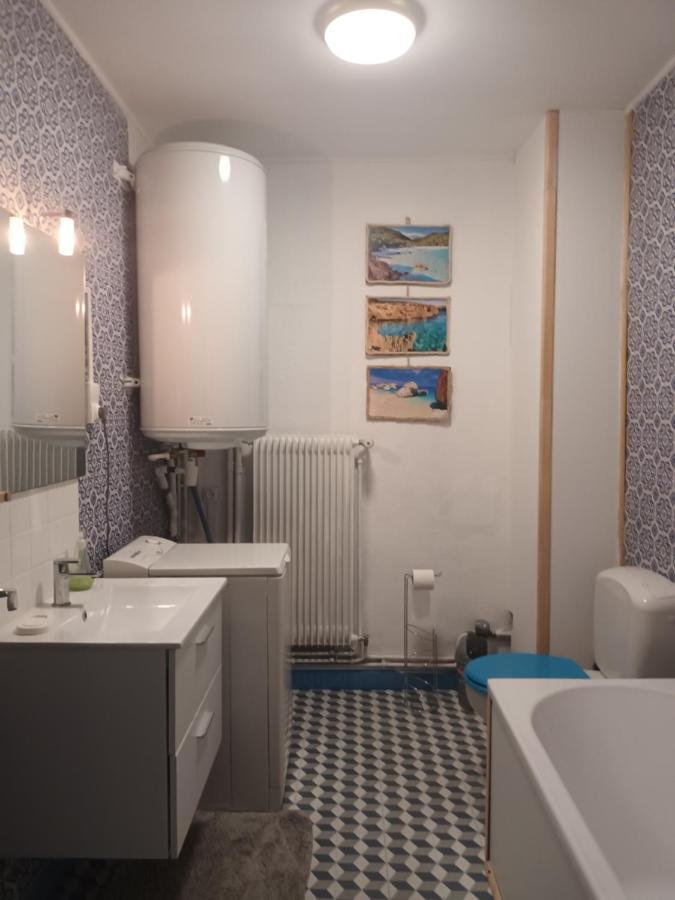 Appartement Chaleureux De 82M2 Proche De Vulcania Pontaumur Eksteriør billede