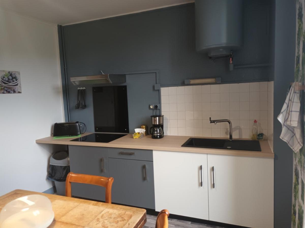 Appartement Chaleureux De 82M2 Proche De Vulcania Pontaumur Eksteriør billede
